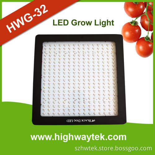 1000W LED Grow Light with 5W Diode